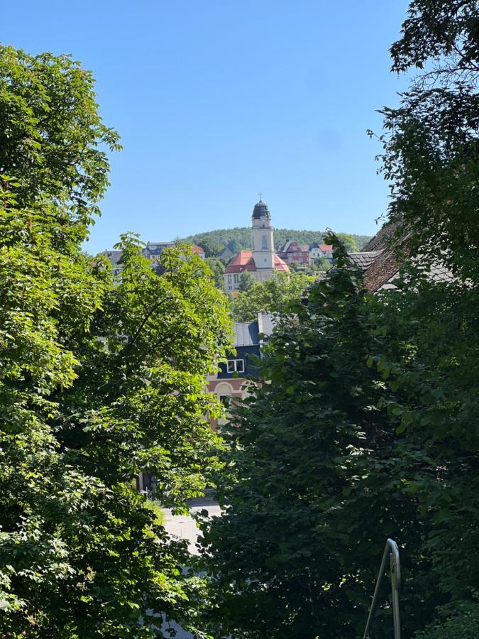 Goethe Palais Suite Charlotte 4P L Lift I Parkplatzi Zentrum I Helios Aue  Buitenkant foto